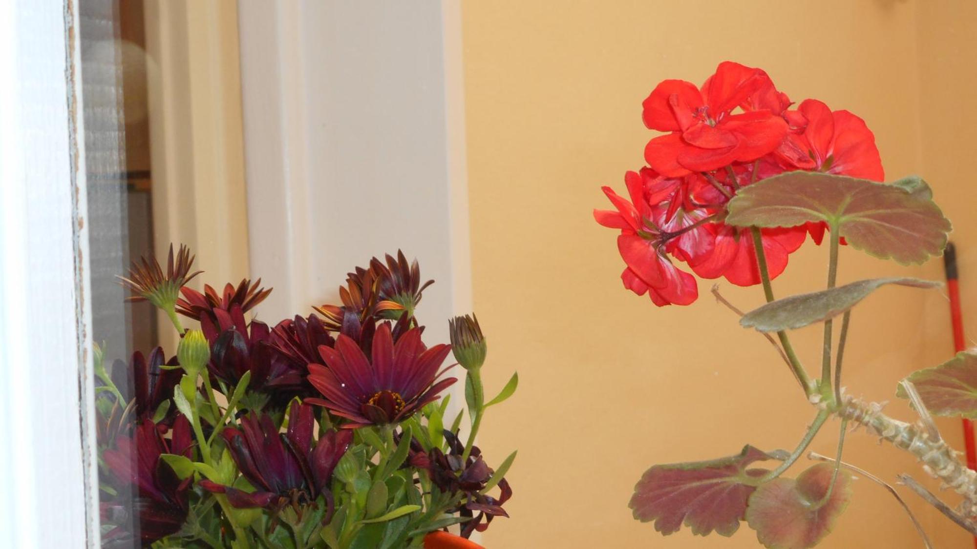 Elegant And Comfortable Apartment In The City Center Эрмуполис Экстерьер фото